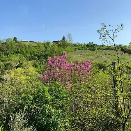 Apartamento Elevated Loft With Valley Views In Acqui Terme