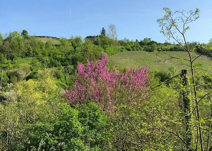 דירה Elevated Loft With Valley Views In אקווי טרמה